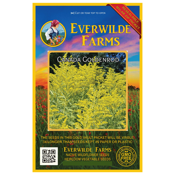 2000 Canada Goldenrod Wildflower Seeds Everwilde Farms Mylar Seed Packet